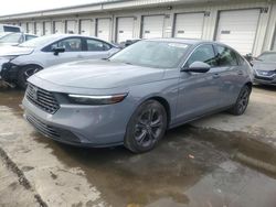 Salvage cars for sale at auction: 2024 Honda Accord Hybrid EXL