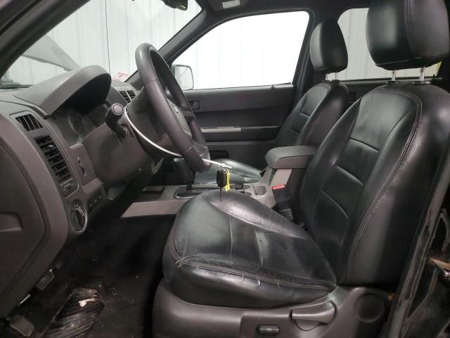 2008 Ford Escape XLT