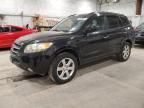 2007 Hyundai Santa FE SE