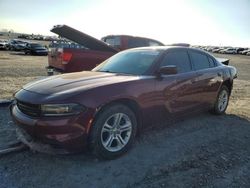 Salvage cars for sale from Copart Earlington, KY: 2019 Dodge Charger SXT