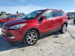 Ford salvage cars for sale: 2014 Ford Escape Titanium