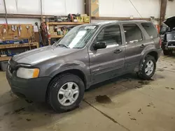 Ford Vehiculos salvage en venta: 2002 Ford Escape XLT