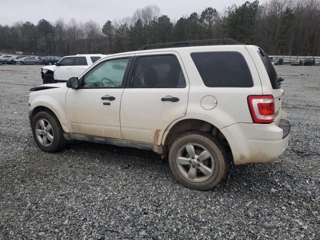 2012 Ford Escape XLT