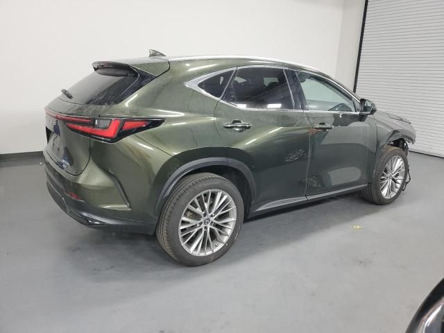 2023 Lexus NX 350H