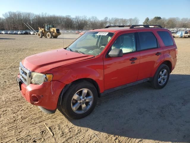 2009 Ford Escape XLT