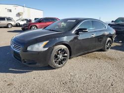 Salvage cars for sale at Tucson, AZ auction: 2010 Nissan Maxima S