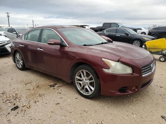 2009 Nissan Maxima S