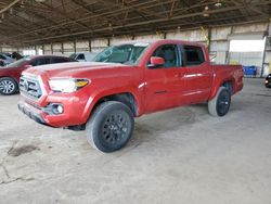 Salvage cars for sale at Phoenix, AZ auction: 2023 Toyota Tacoma Double Cab