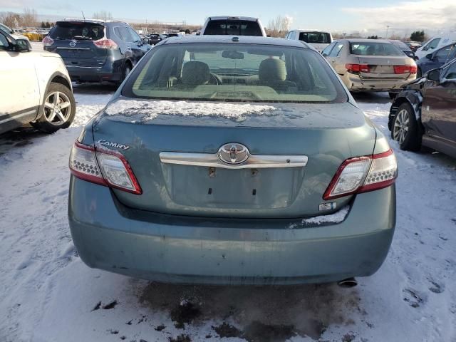 2010 Toyota Camry Hybrid