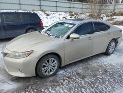 Carros con título limpio a la venta en subasta: 2013 Lexus ES 350