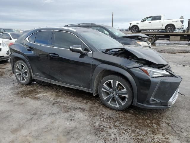 2019 Lexus UX 250H