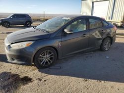 Salvage cars for sale at Albuquerque, NM auction: 2016 Ford Focus SE