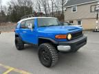 2007 Toyota FJ Cruiser