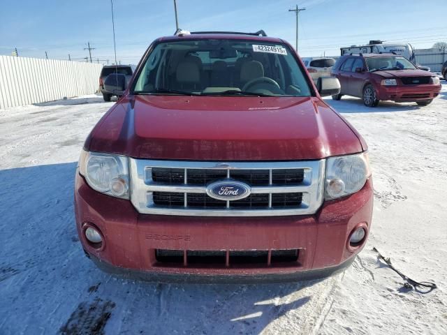 2011 Ford Escape XLT