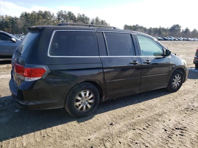 2010 Honda Odyssey EXL