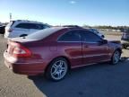 2003 Mercedes-Benz CLK 55 AMG