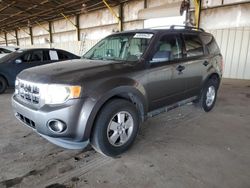 Salvage cars for sale at Phoenix, AZ auction: 2012 Ford Escape XLT