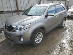 KIA Sorento lx salvage cars for sale: 2014 KIA Sorento LX