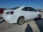 2010 Lexus HS 250H