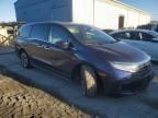 2021 Honda Odyssey EXL