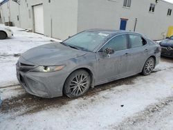 Salvage cars for sale at Cookstown, ON auction: 2023 Toyota Camry SE Night Shade