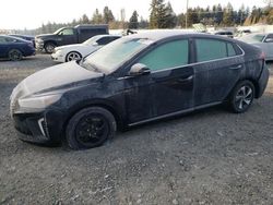 Salvage cars for sale at Graham, WA auction: 2017 Hyundai Ioniq SEL