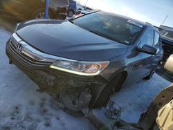 Salvage cars for sale at Cahokia Heights, IL auction: 2016 Honda Accord EXL