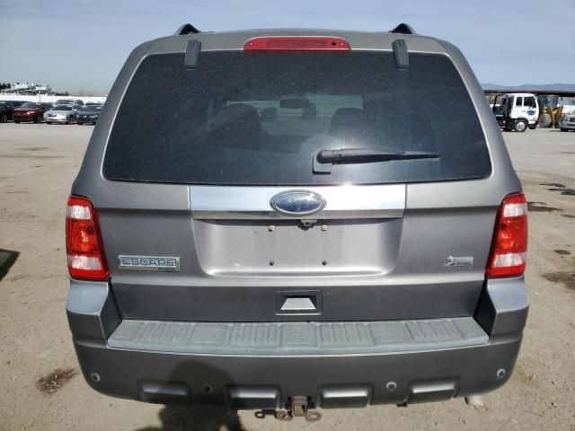 2010 Ford Escape Limited