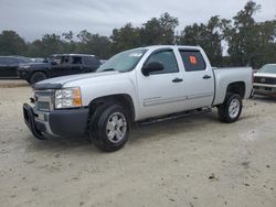 Salvage cars for sale at Ocala, FL auction: 2013 Chevrolet Silverado C1500 LT