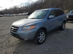 2008 Hyundai Santa FE SE