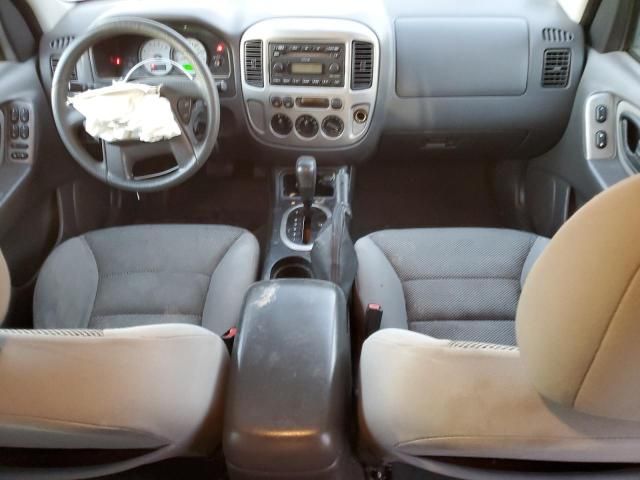 2005 Ford Escape XLT