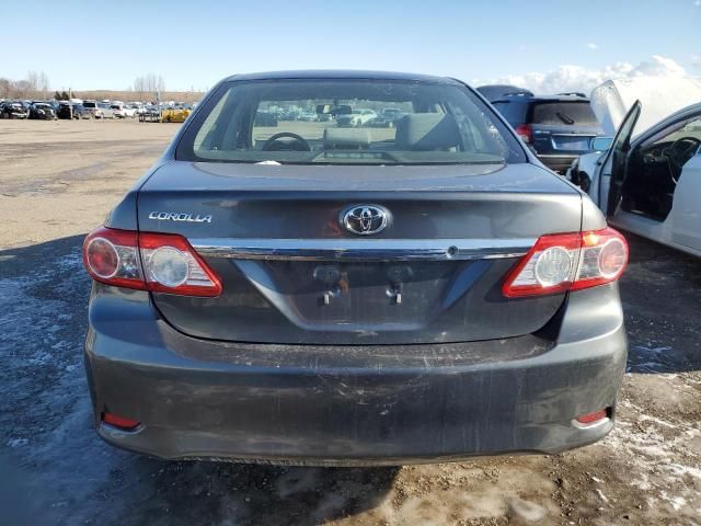 2011 Toyota Corolla Base