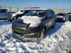 2016 Ford Escape SE en venta en Cahokia Heights, IL