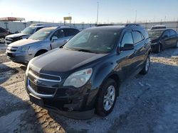 Chevrolet salvage cars for sale: 2013 Chevrolet Equinox LT