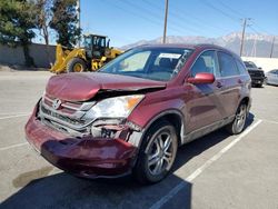 Honda salvage cars for sale: 2011 Honda CR-V EXL