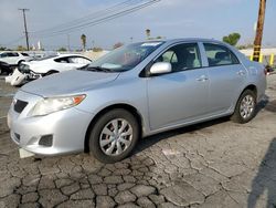 Salvage cars for sale at Colton, CA auction: 2010 Toyota Corolla Base