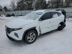 Salvage cars for sale at Albany, NY auction: 2024 Hyundai Tucson SEL