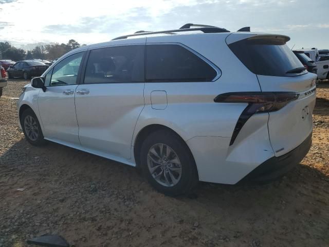 2023 Toyota Sienna XLE