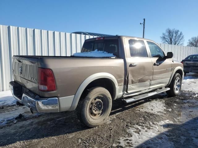 2010 Dodge RAM 1500