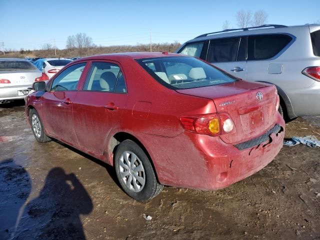 2010 Toyota Corolla Base