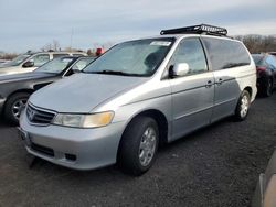 Honda Vehiculos salvage en venta: 2004 Honda Odyssey EXL