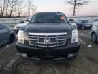 2011 Cadillac Escalade Luxury