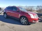 2010 Cadillac SRX Performance Collection