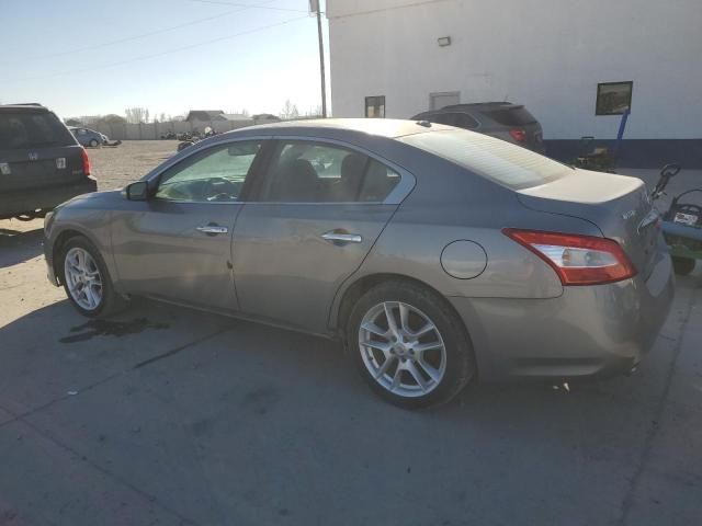 2009 Nissan Maxima S