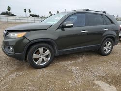 2012 KIA Sorento EX en venta en Mercedes, TX