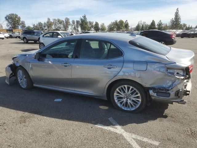 2019 Toyota Camry Hybrid