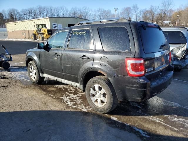 2011 Ford Escape Limited