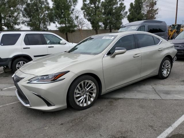 2021 Lexus ES 300H Luxury