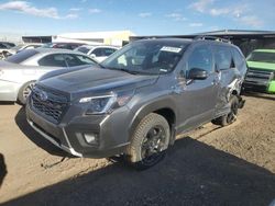 Salvage cars for sale at Brighton, CO auction: 2023 Subaru Forester Wilderness