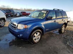 Ford Escape Vehiculos salvage en venta: 2008 Ford Escape XLT